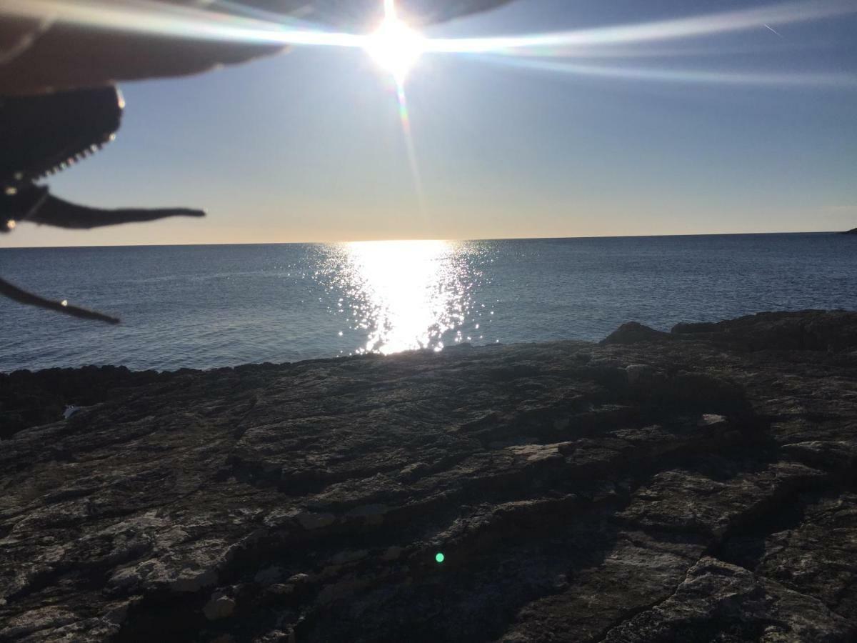 Monte Paradiso Panorama 普拉 外观 照片